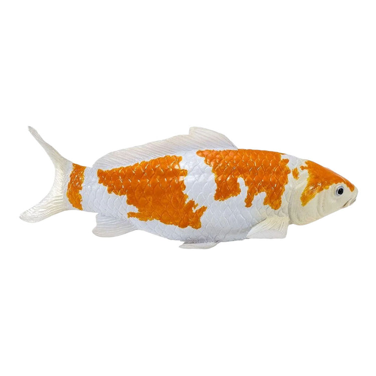 Collection Mojo koi - ochiba shigure koi or blanc 381122