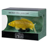 Collection Mojo koi - kin matsuba koi or 381123