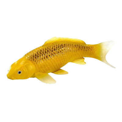 Collection Mojo koi - kin matsuba koi or 381123