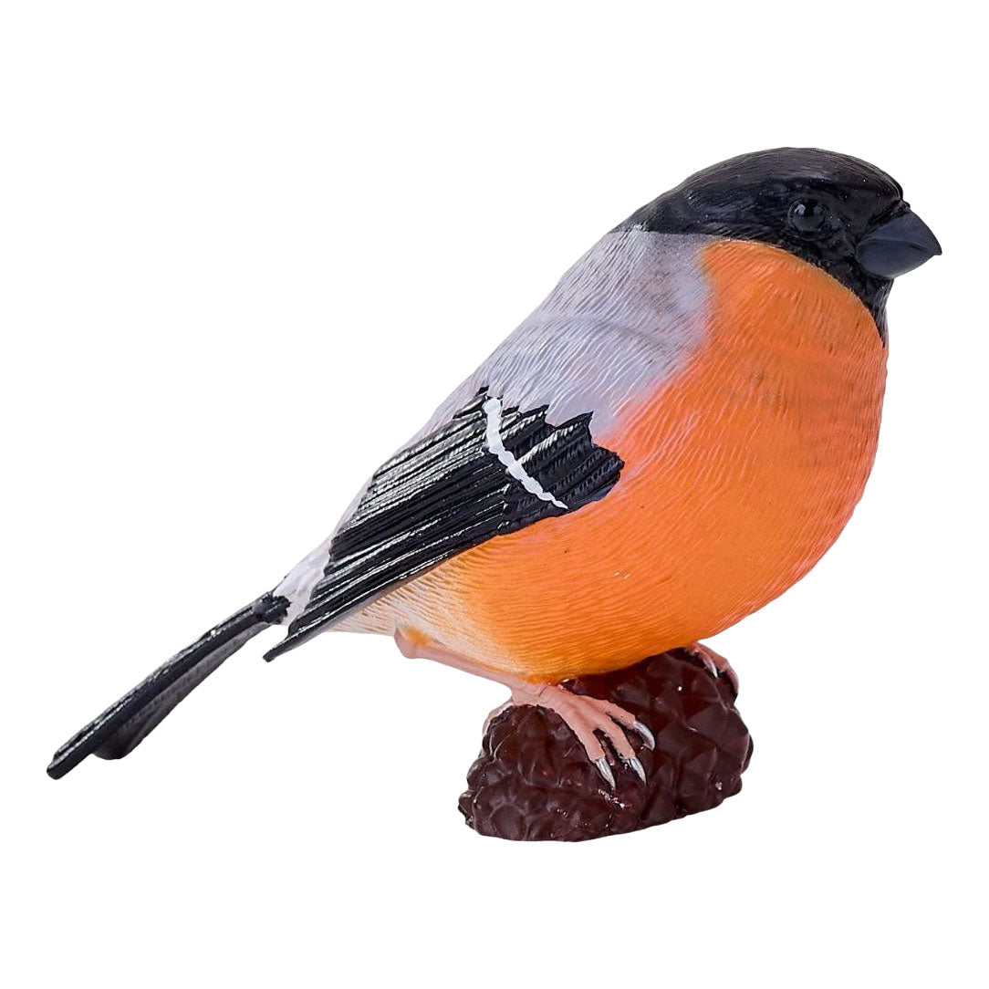 Mojo oiseaux de jardin bouvreuil 381127