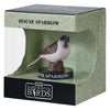 Mojo jardin oiseaux moineau domestique 381128