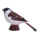 Mojo jardin oiseaux moineau domestique 381128