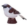 Mojo jardin oiseaux moineau domestique 381128