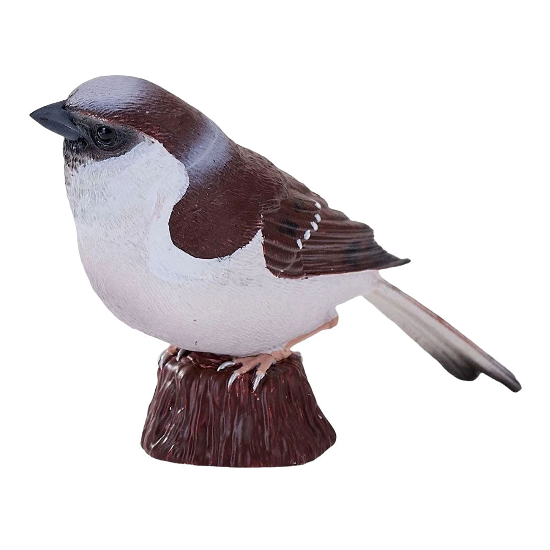 Mojo jardin oiseaux moineau domestique 381128