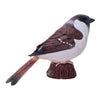 Mojo jardin oiseaux moineau domestique 381128