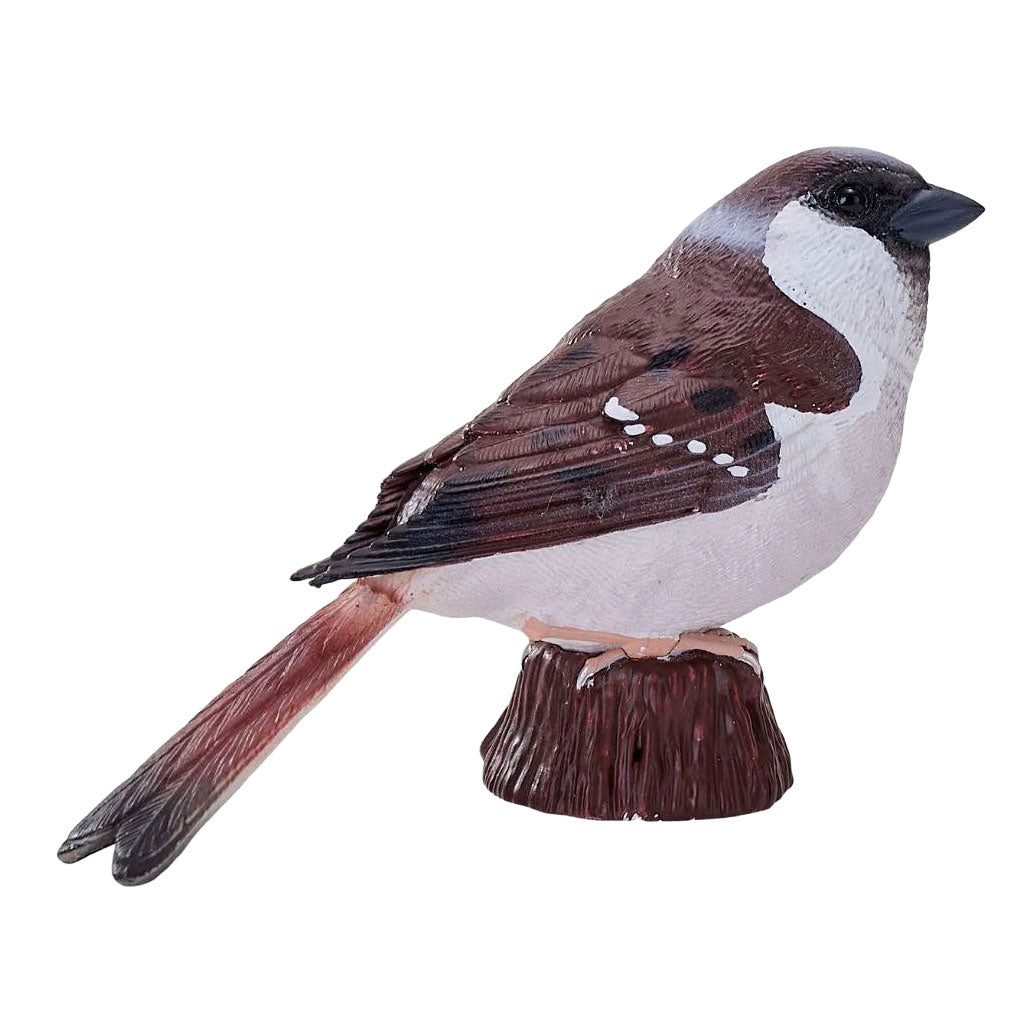 Mojo jardin oiseaux moineau domestique 381128