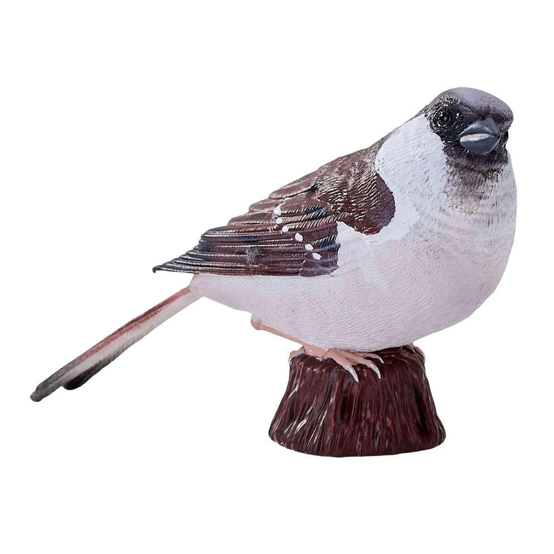 Mojo jardin oiseaux moineau domestique 381128