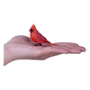 Oiseaux de jardin Mojo cardinal rouge 381131