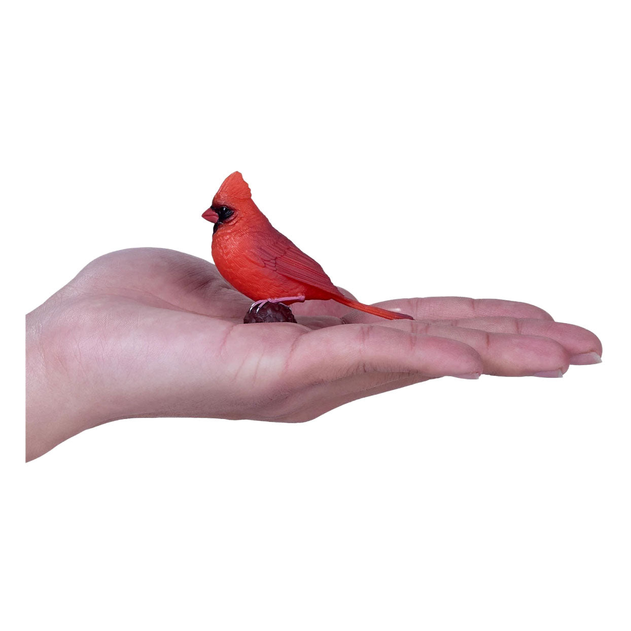 Oiseaux de jardin Mojo cardinal rouge 381131