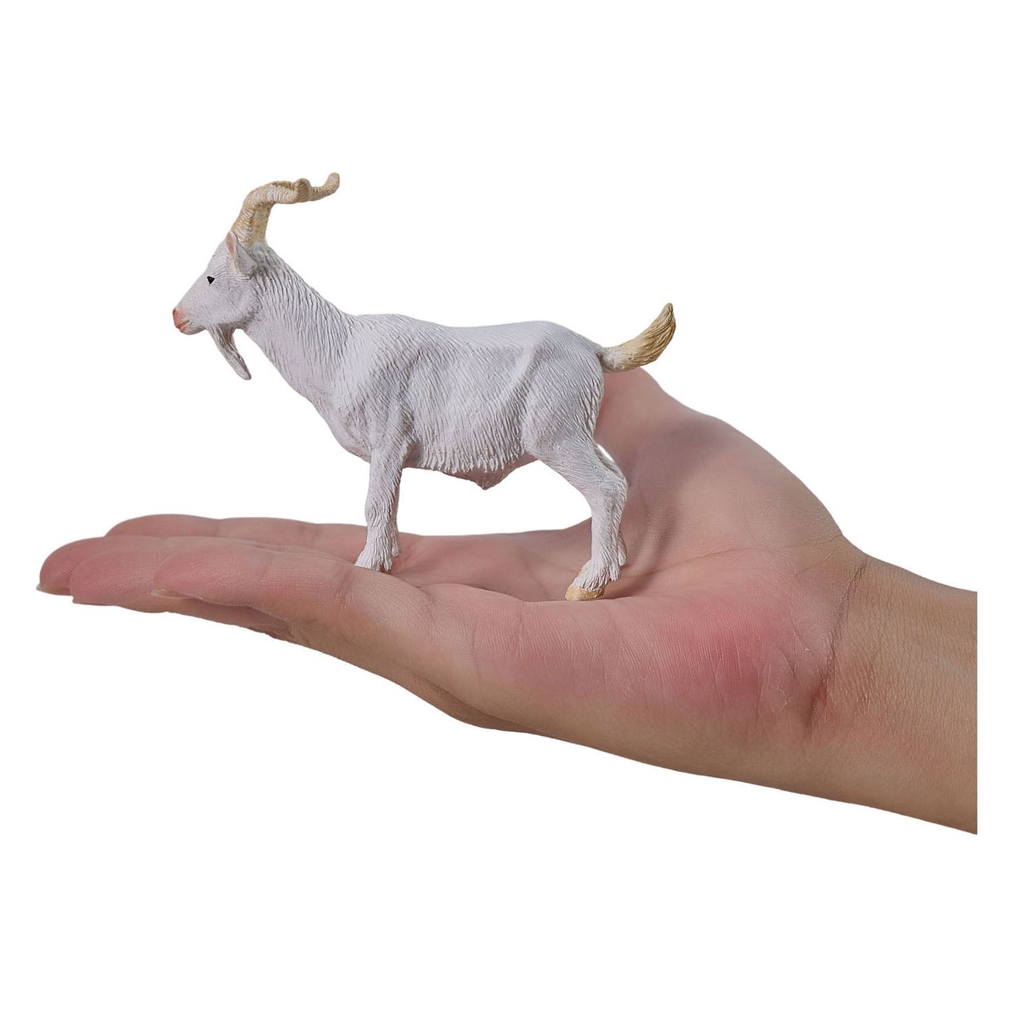 Mojo bouc - 381136