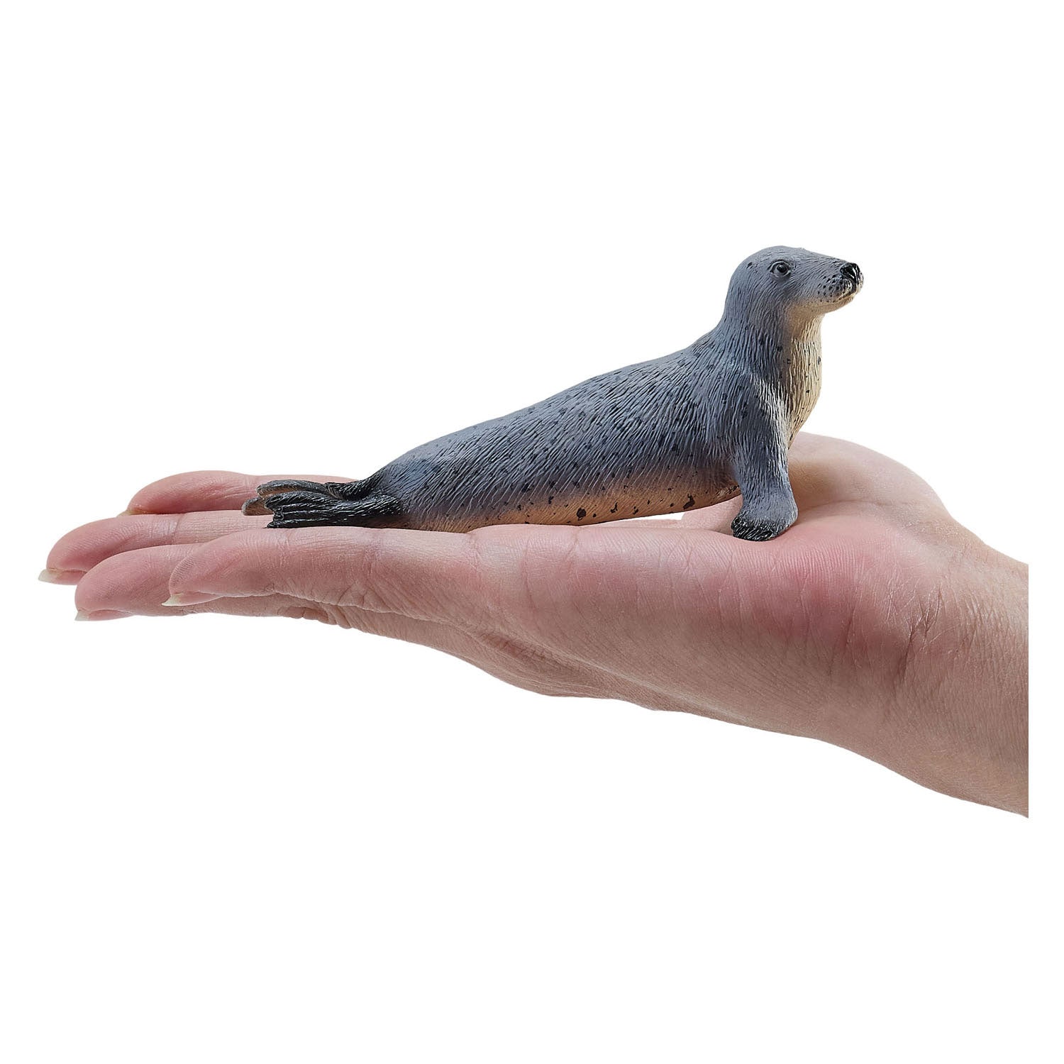 Phoque gris Mojo - 381134