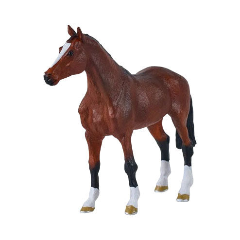 Cheval à sang chaud royal Mojo - 381155