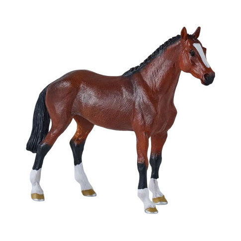 Cheval à sang chaud royal Mojo - 381155