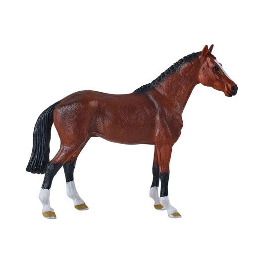 Cheval à sang chaud royal Mojo - 381155