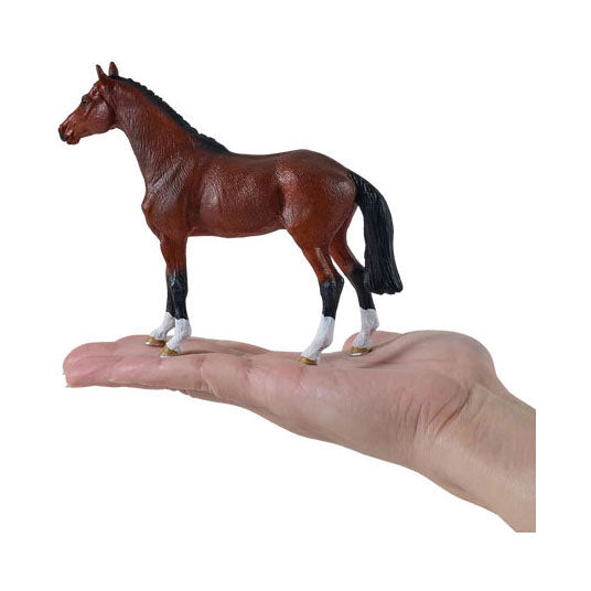 Cheval à sang chaud royal Mojo - 381155