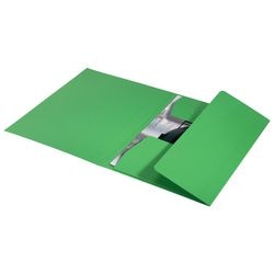 Chemise à 3 rabats leitz 39060055 vert 100 g
