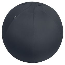 Ballon d'assise ergonomique Leitz 65420089 gris foncé 2200 g