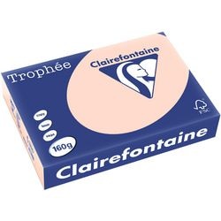 Clairefontaine papier couleur a4 rose saumon 160 g m² 250 feuilles