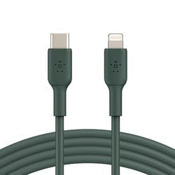 Ngk lightniabel belkin usb-c mâle 2 m