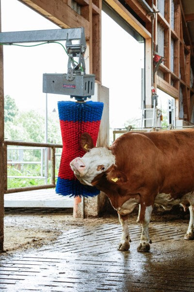 Brosse à vache Happycow maxiswing