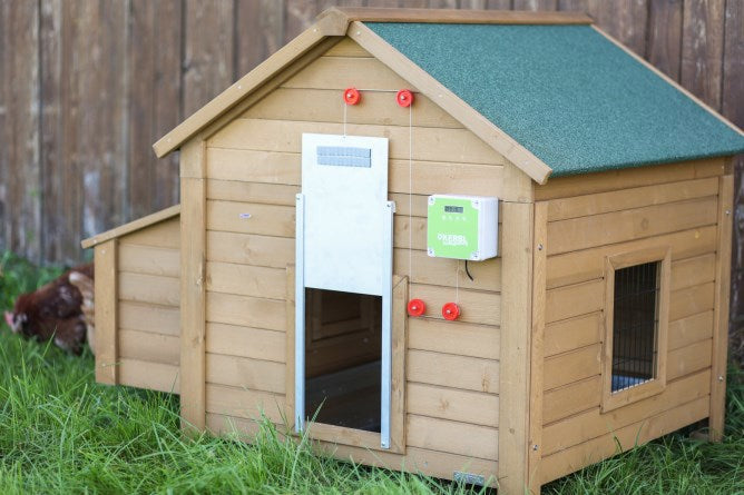 Ensemble porte poulet automatique 30x40cm