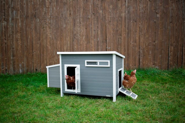 Poulailler eco stable en plastique barney