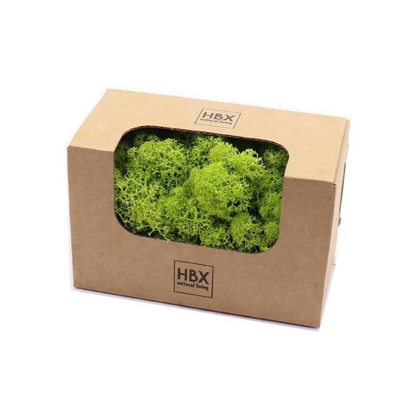 HBx natural living basic mousse de renne 50gr vert