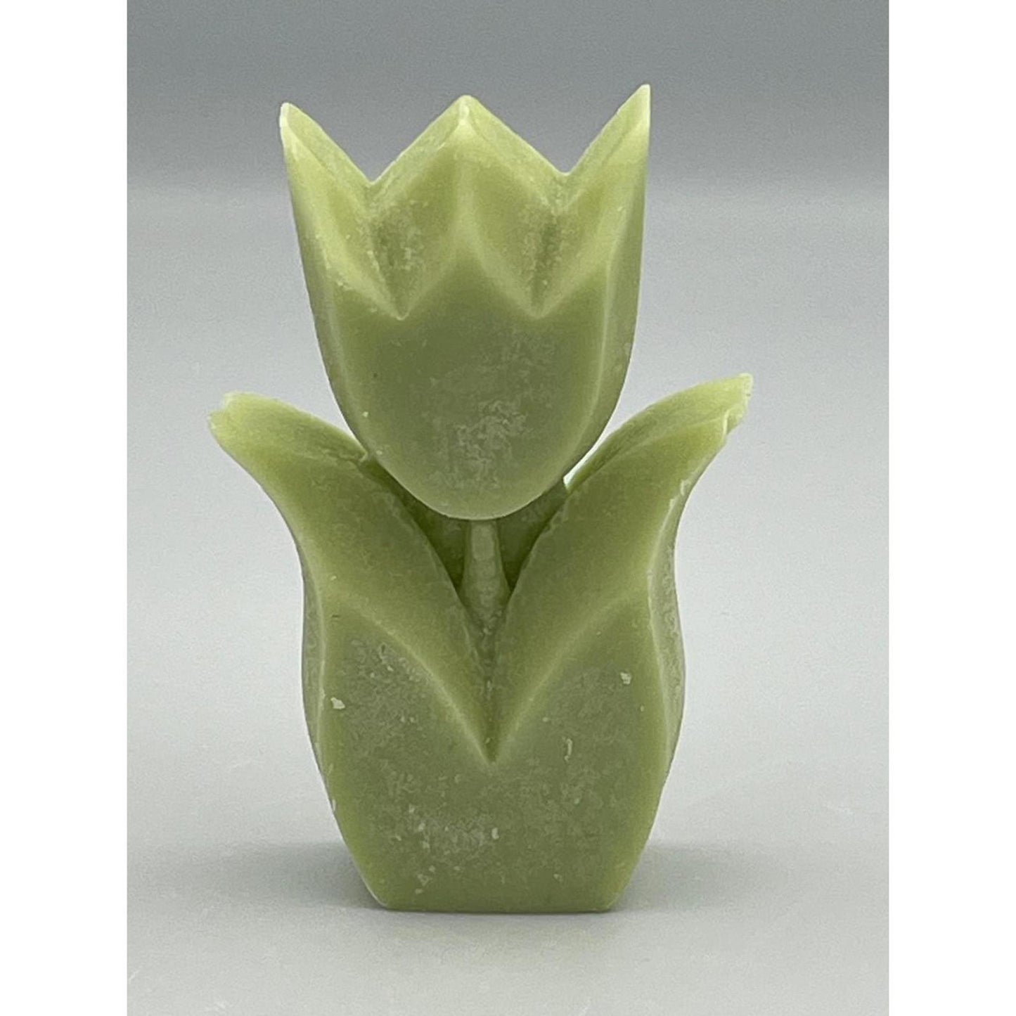 Vos décorations parfum tulipe concombre