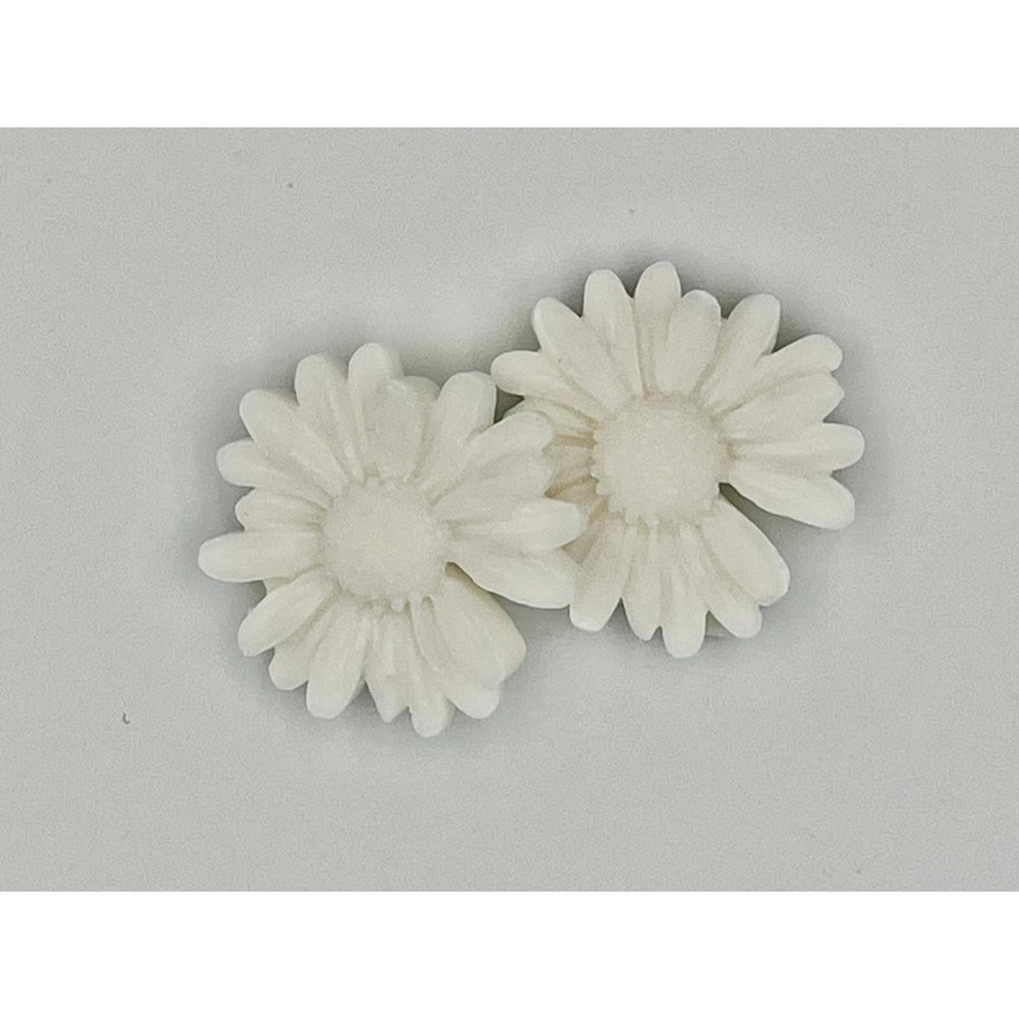 Vos décorations parfum marguerite noix de coco set a 2