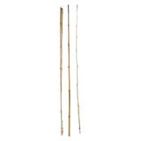 Hengel Bamboo, 2mtr. - afbeelding 1