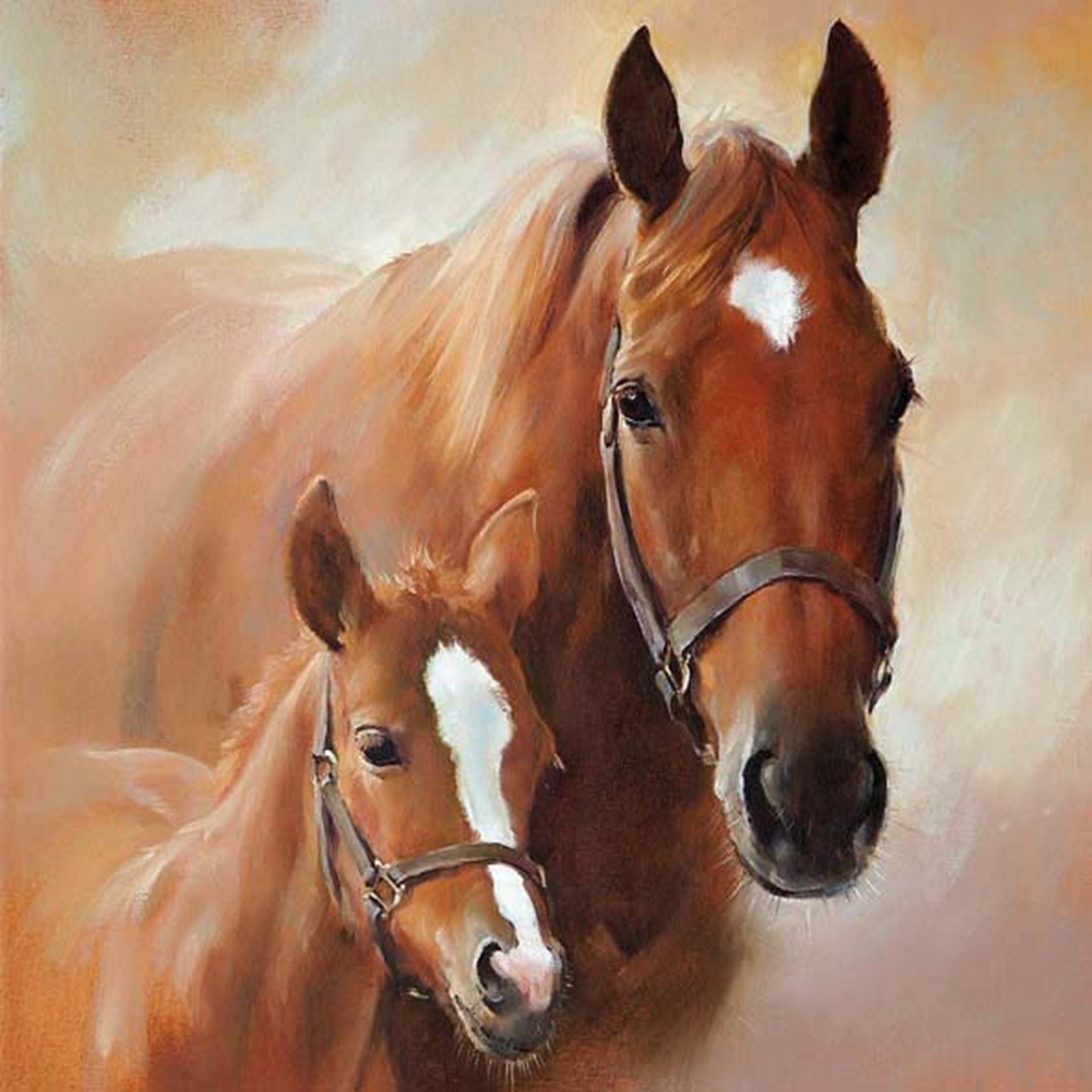 Serviettes Ambiente cheval et poulain 33cm