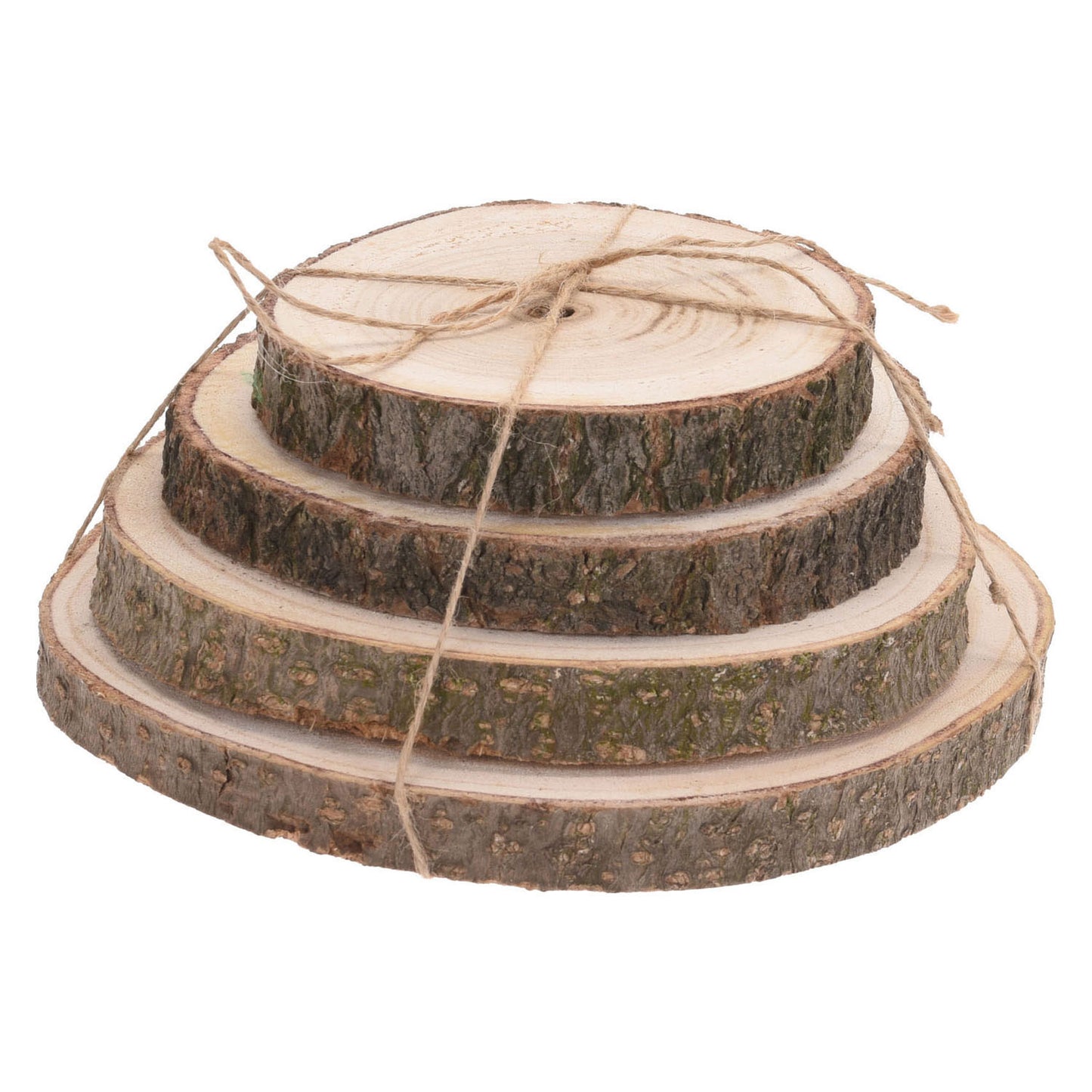 Disque d'arbre avec écorce naturelle, 4e.