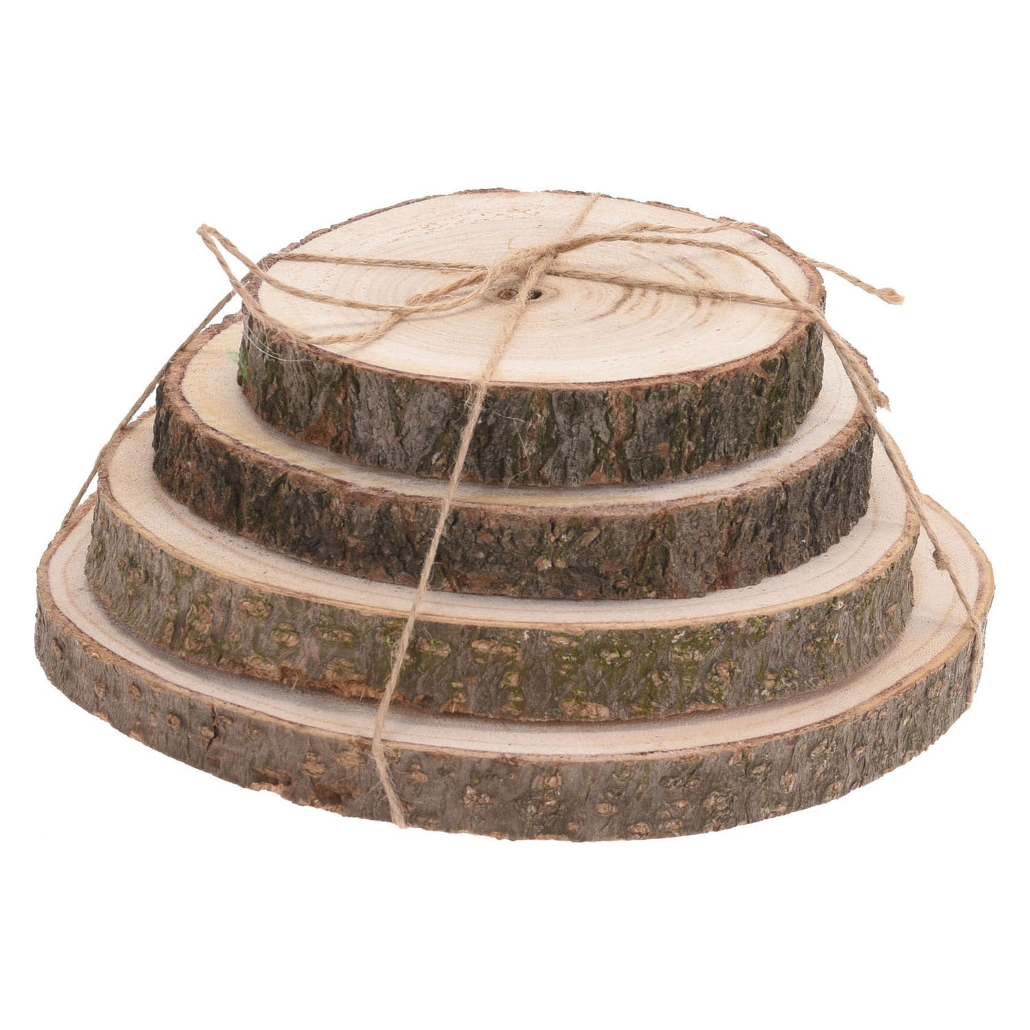 Disque d'arbre avec écorce naturelle, 4e.