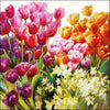 Serviette Ambiente 25cm tulipes 20 pièces