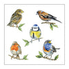 Serviette Ambiente 33 espèces d'oiseaux blanc