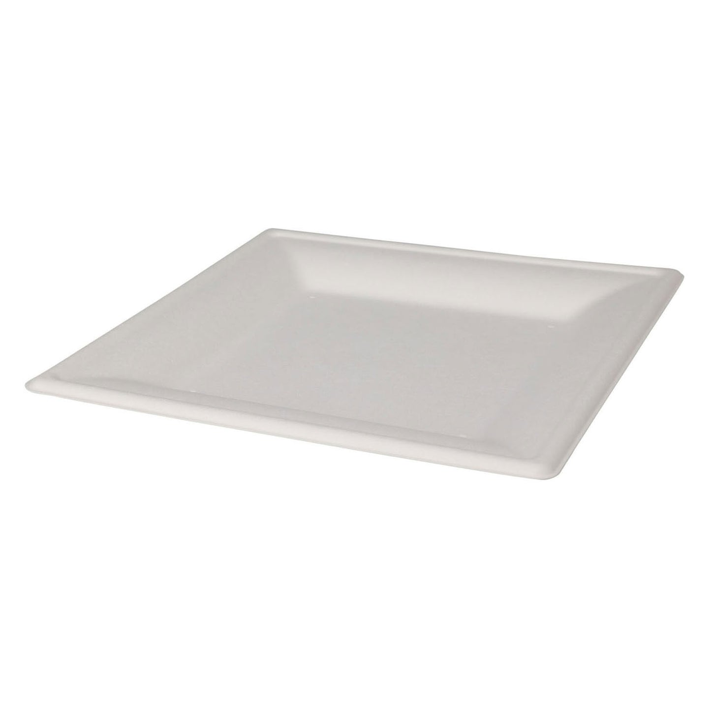 Plaques jetables carré 20 cm, 8e.