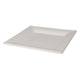 Plaques jetables carré 20 cm, 8e.
