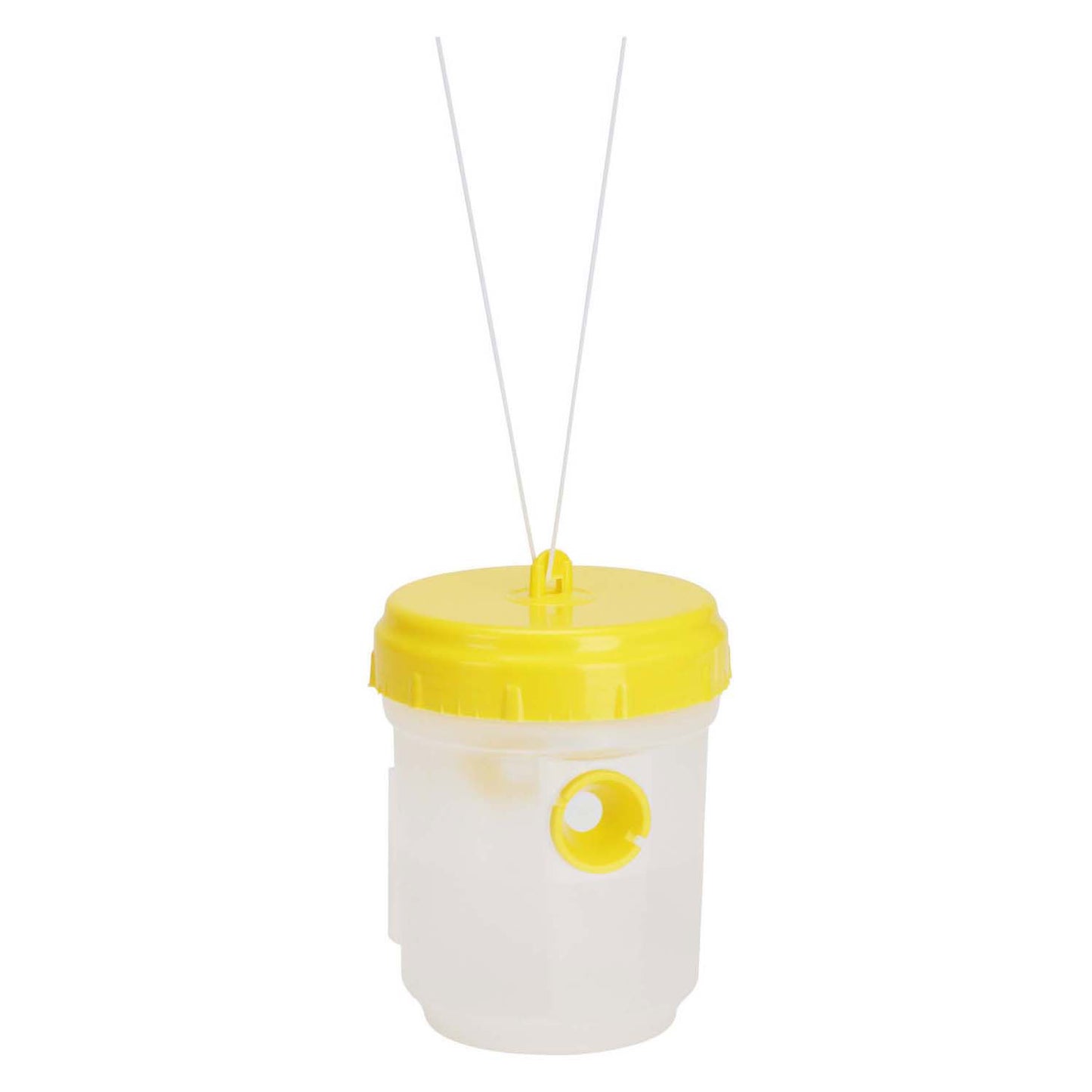 Catcher de guêpe avec cordon suspendu