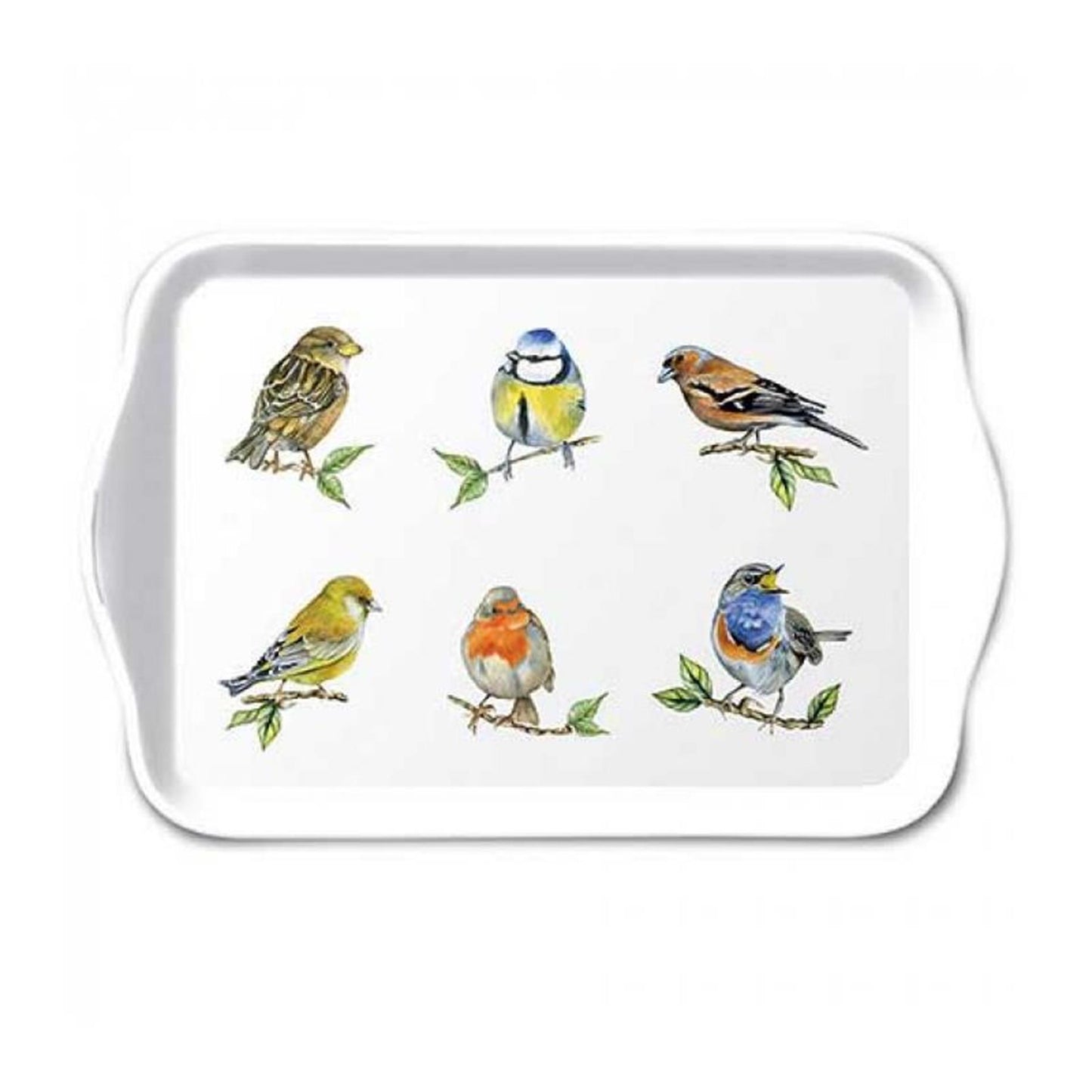 Plateau Ambiente 13x21cm espèces d'oiseaux blanc