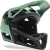 Casque intégral Fox Head Proframe Mips RS