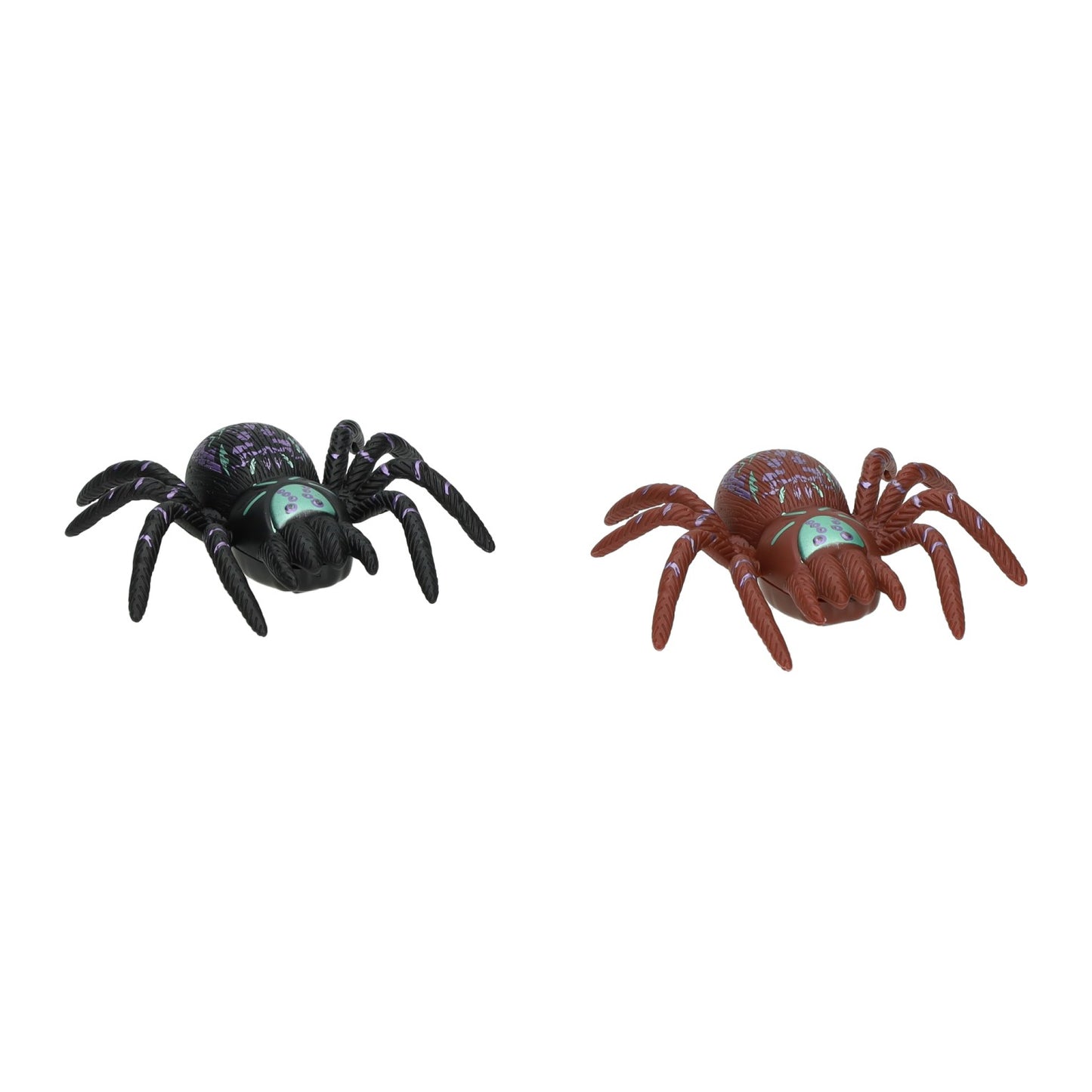 Araignée sur chenilles