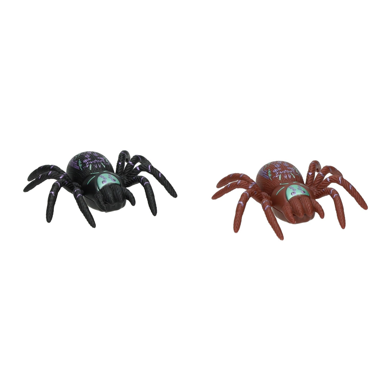 Araignée sur chenilles