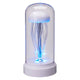 Méduse lampe multicolore