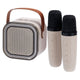 Ensemble karaoké sans fil avec haut-parleur et 2 microphones
