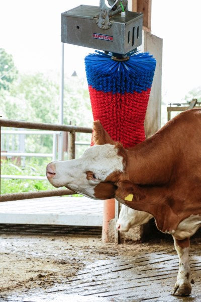 Brosse à vache Happycow maxiswing