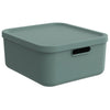 Rotho Decoration Storagebox Albula Light 20 L Mistletoe Green