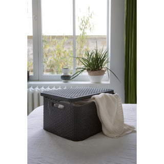 Curver Curver Rangement Box Style avec couvercle l 30 L Couleurs en argent métallique