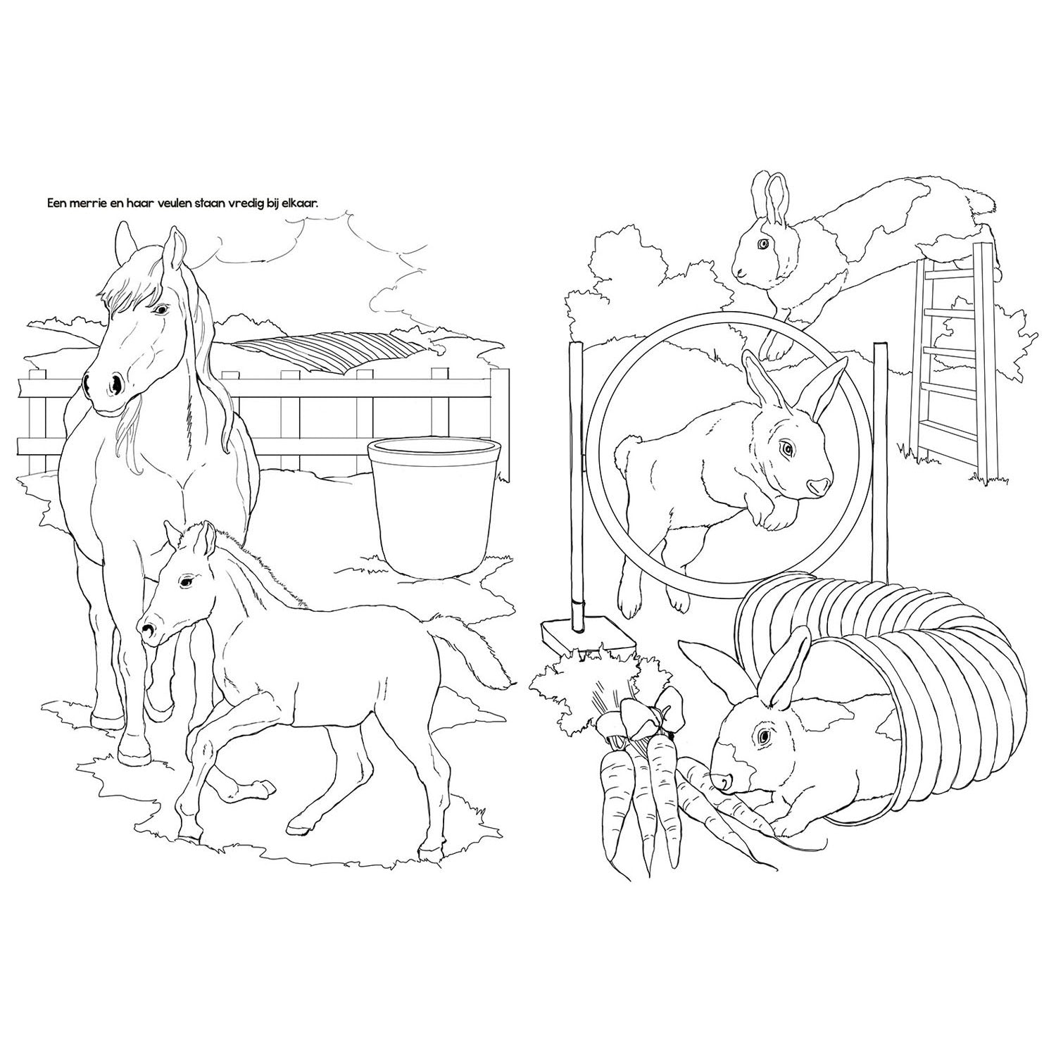 Livre de couleurs Animaux de ferme