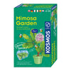Cosmos Mimosa Cosmos Plantes