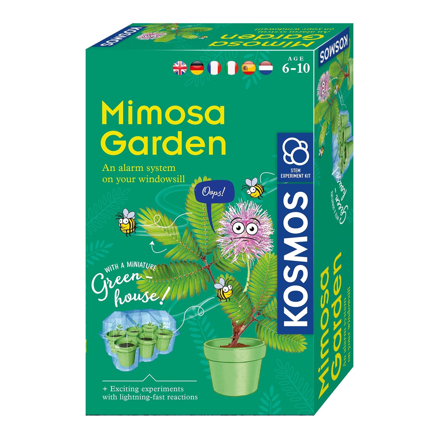 Cosmos Mimosa Cosmos Plantes